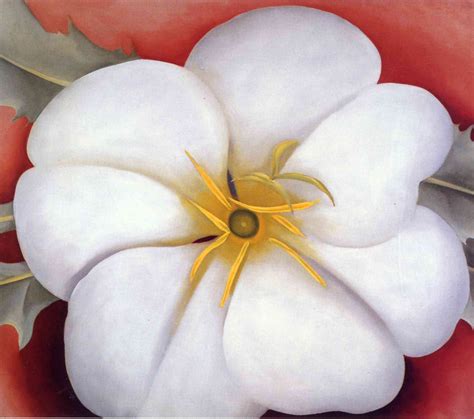 Georgia Okeefe Flower Paintings