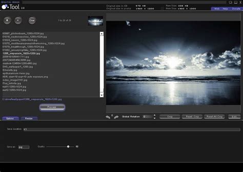 Automated Image Processing Software 的图像结果