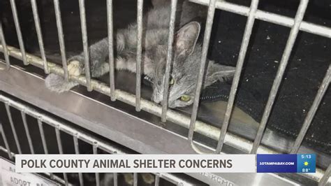 Photos inside Polk County Animal Control spark concern | wtsp.com