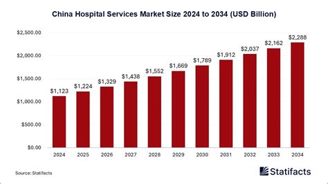 China Hospital Services Market Statistics 2025-2034