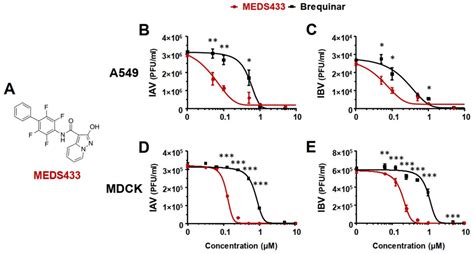 The Novel hDHODH Inhibitor MEDS433 Prevents Influenza Virus Replication by Blocking Pyrimidine ...