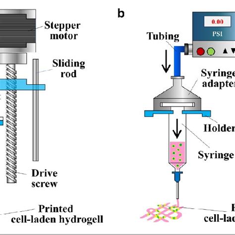 Image result for Spring Dispensing