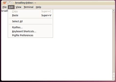 Image result for How to Copy Paste From Windows to Linux Ubuntu VirtualBox