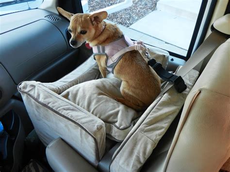5 Best Dog Car Seats (Reviews Updated 2024) | Dog Product Picker