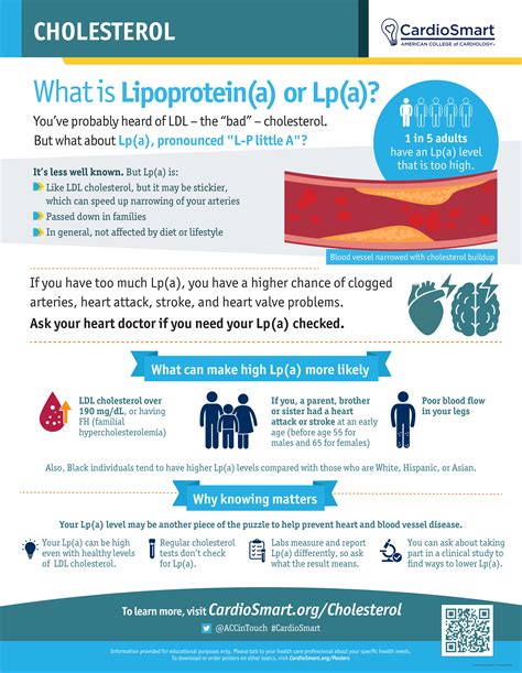 Infographics: What Is Lipoprotein(a) Or Lp(a) | Doctors Without Waiting ...