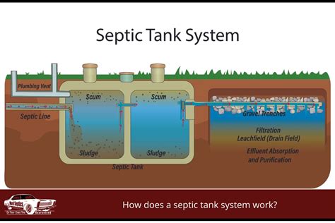 Septic Tank Guy