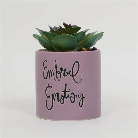 Buy Garnet Garden Artificial Succulent in Ceramic Planter from Home ...