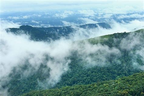 Misty Mounts Plantations Stay Chikmagalur - Resorts Chikmagalur