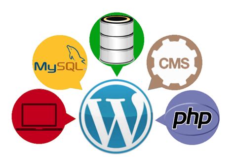 Image result for WordPress Database Management