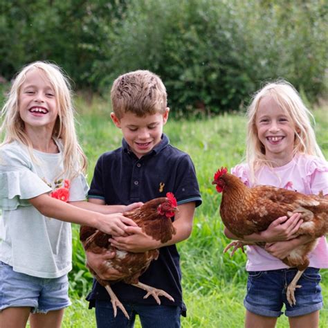 Image result for How Expensive Is DNA Testing