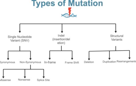 MSK Week 13-14 Flashcards | Quizlet