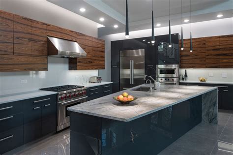 Modern-kitchen-cabinets - Glenview Haus Custom Front and Interior Doors ...