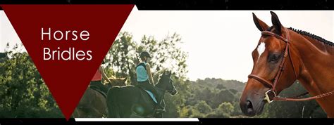 Company Overview - SILVERLINE TACK INC.