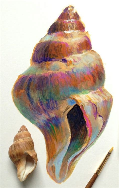 Image result for Pen Shell Drawing