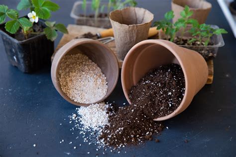 Perlite vs. Vermiculite for Potted Plants | Angi