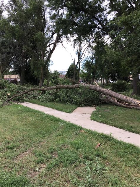 Callaway Nebraska Straight Line Wind Damage Survey - July 29, 2023