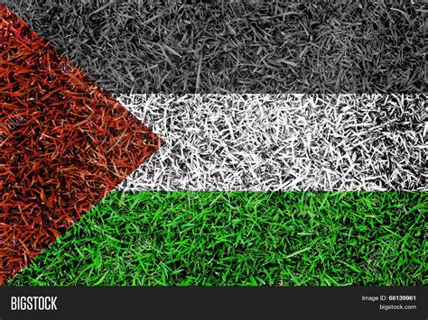 Palestine Flag Color Image & Photo (Free Trial) | Bigstock