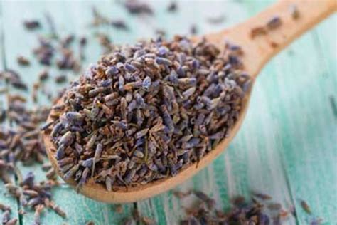 Candle Wic.com 的图像结果