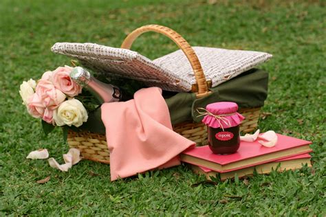 PIC NIC - Pesquisa do Google | Picnic, Romantic cottage, Picnic basket