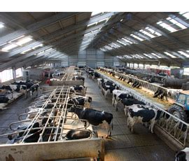 Image result for Large Scale Farming Challenges