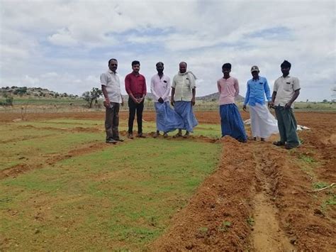 Kadamba Foundation - Teff Seeds