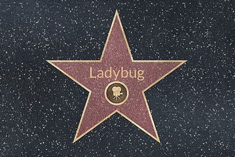 Image result for Ladybug Fire