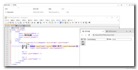 HtmlForm 的图像结果