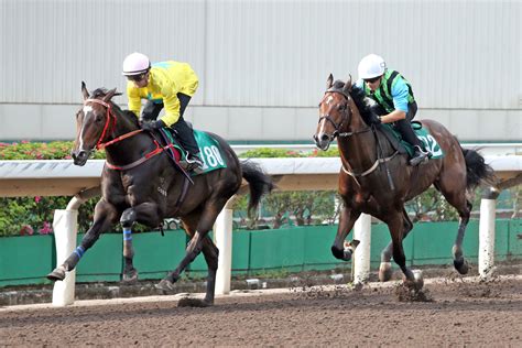Fownes eyes LONGINES Hong Kong Vase glory with Senor Toba – Racing News ...