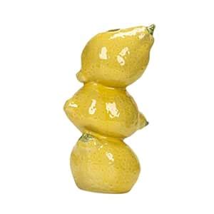 Buy Jazzy Pearls® Ceramic Fruit Bud Vase Simple Plant Container for ...
