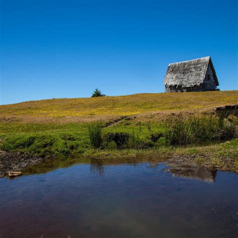 MONTE VERDE (2025) All You Need to Know BEFORE You Go (with Photos ...