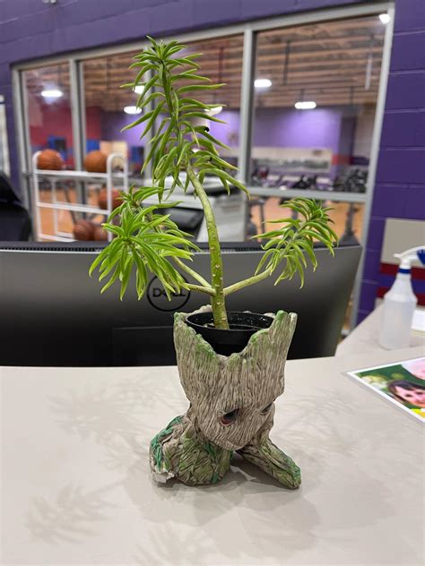 CENTRAL-CLEMSON RECREATION CENTER - Central SC - Hours, Directions ...