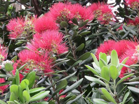 Otahuhu Tourism (2024): All You Need to Know Before You Go