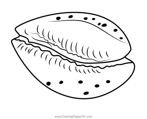 Image result for Shellfish Coloring Pages