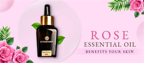 How Rose Essential Oil Benefits Your Skin | O'Gardener