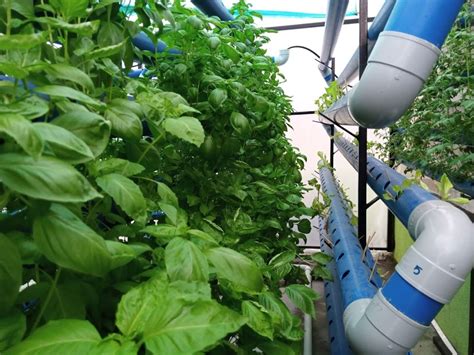 UVFarms | Transforming Agriculture with IT & Sustainability