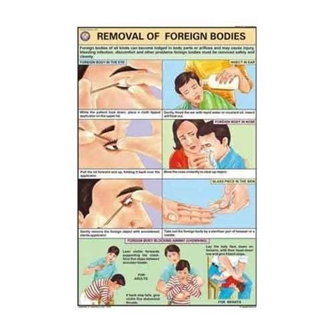 First Aid Charts - Transport Of The Injured Distributor / Channel ...