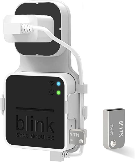 Blink Sync Module 2 Local Storage 的图像结果