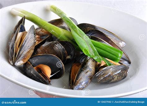 Image result for Is Mussel Is Bad When Is Open