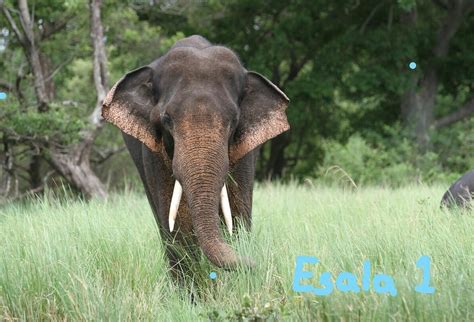 KALAWEWA NATIONAL PARK - All You Need to Know BEFORE You Go 2026 (with ...
