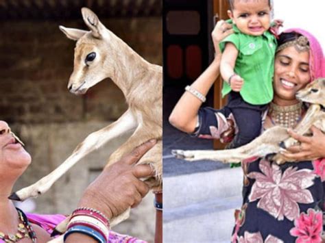 ममता की असल मूरत हैं इस जनजाति की महिलाएं, जानवरों को पिलाती हैं छाती ...