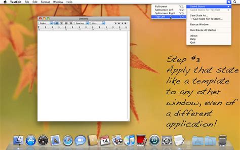 Image result for Mac OS X Window