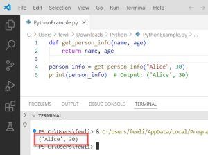 Image result for Python Input Return Tuple