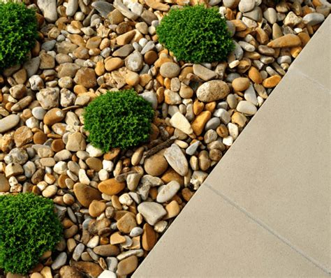 Pros and Cons of Adding Landscape Gravel to Your Backyard Design