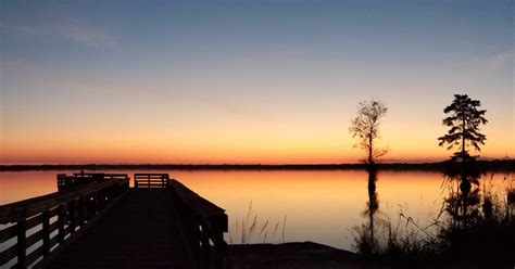 USFWS and NFWF announce $7.4 million in new grants to restore and ...