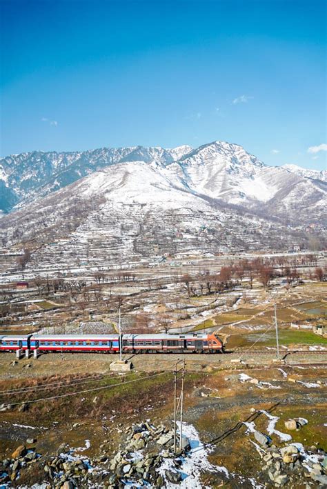 Demu Local 的图像结果