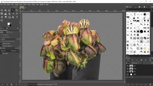 Image result for GIMP Tutorials Eraser