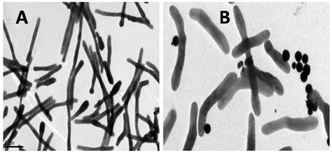 Nanoparticle-Based Biosensing Assay for Universally Accessible Low-Cost ...