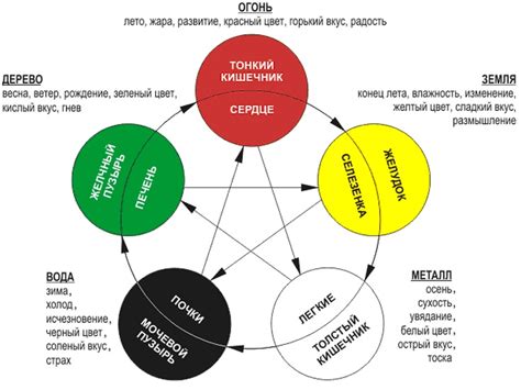 Эмоции кратко | Кинезиолог