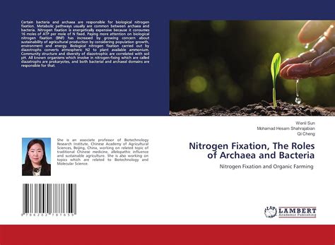 Nitrogen Fixation, The Roles of Archaea and Bacteria: Nitrogen Fixation ...