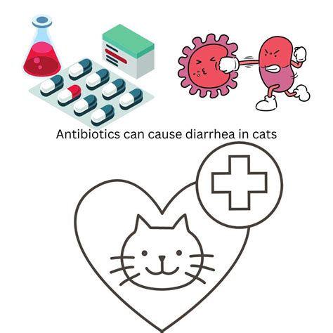 Can Cat Litter Cause Diarrhea In Humans at Jordan Old blog